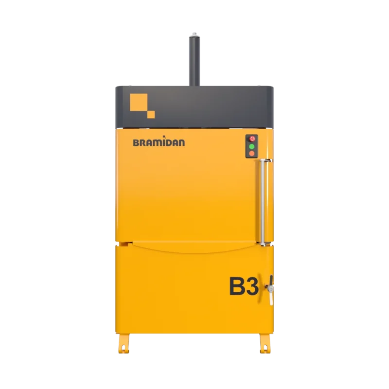 B3